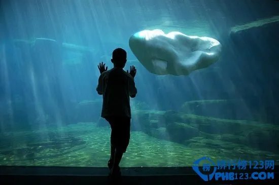 世界上最恐怖的动物排行榜