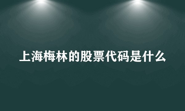 上海梅林的股票代码是什么