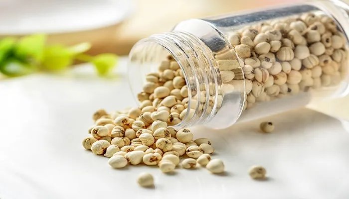 贝母是什么 贝母有哪些种类