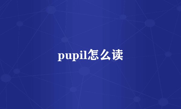 pupil怎么读