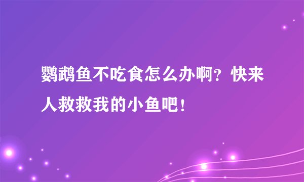 鹦鹉鱼不吃食怎么办啊？快来人救救我的小鱼吧！