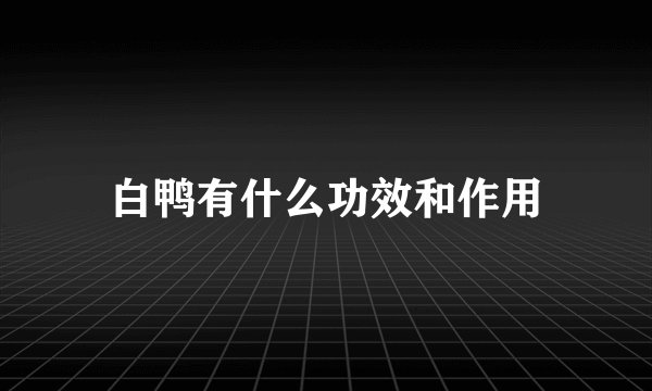 白鸭有什么功效和作用