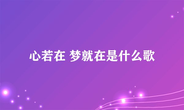 心若在 梦就在是什么歌