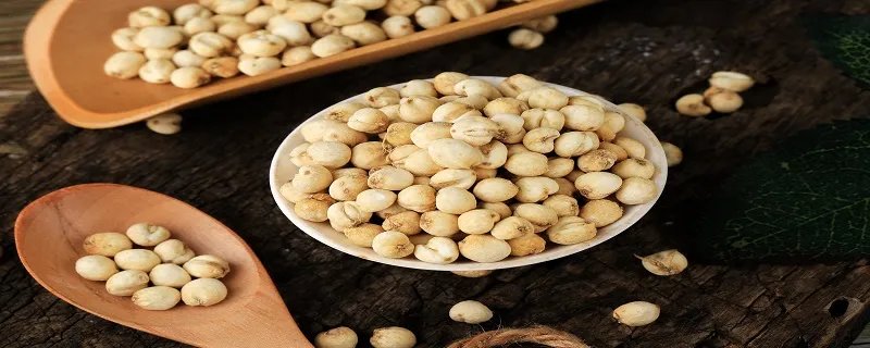 贝母是什么 贝母有哪些种类