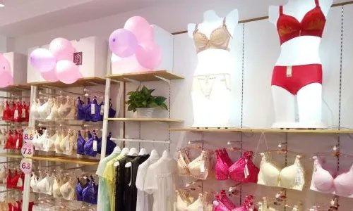 十大品牌内衣有哪些？