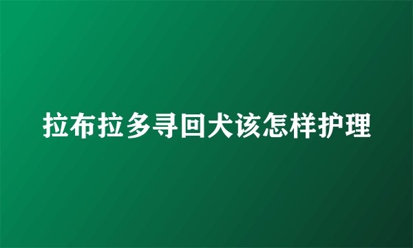 拉布拉多寻回犬该怎样护理