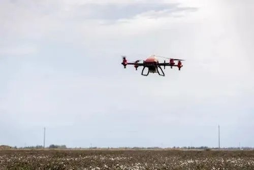 安踏宣布退出BCI组织，你支持安踏做法吗？