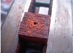 红木床价格大全 买红木家具怎么辨真假