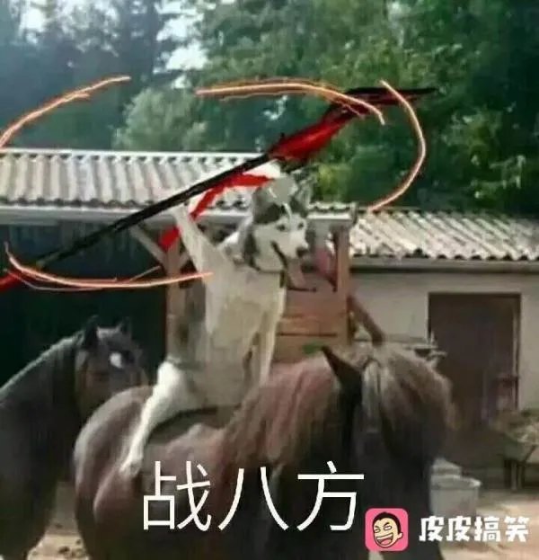 成都58同城租房无押金还减半个月房租靠谱吗?