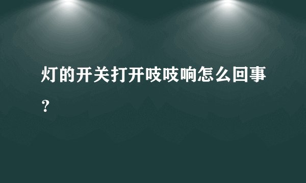 灯的开关打开吱吱响怎么回事？