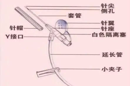 输液套管针图片