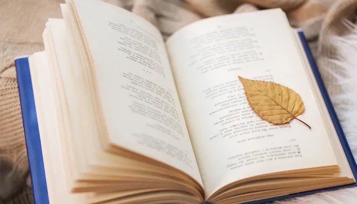 物是人非是什么意思 物是人非的意思