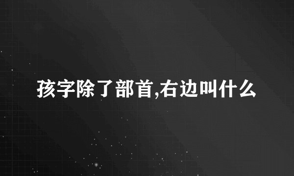 孩字除了部首,右边叫什么