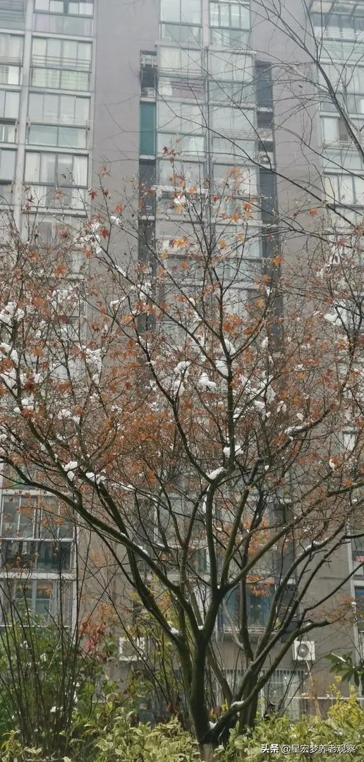 最近想入手美达浅草明苑小区的房子，但是中介推荐了一个边户，美达浅草明苑小区噪音大吗？可以入手吗？