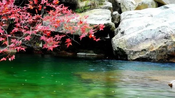 女副区长倪红旅游因事故身亡，该起事故的责任人是谁？