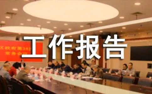 工作报告的格式