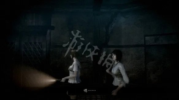 《零月蚀的假面》和濡鸦之巫女哪个好玩？玩法上的区别有哪些