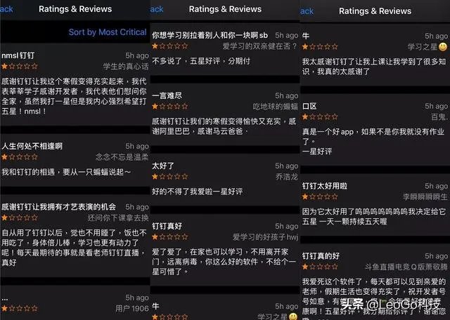 钉钉被学生差评怎么看