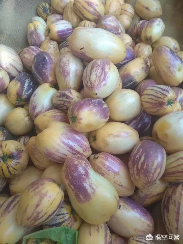 你觉得甘肃民勤的发展前景怎么样？