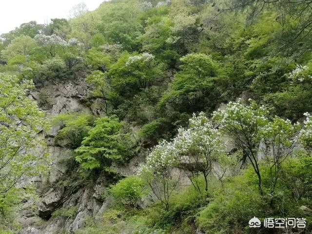 秦岭72峪最值得去的几个