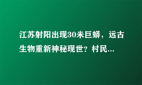 江苏射阳出现30米巨蟒，远古生物重新神秘现世？村民要渡劫升天？