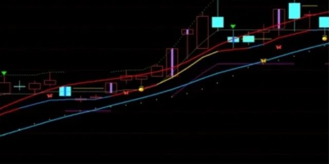 新五丰股吧最新消息