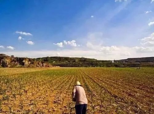 流转土地可以建房吗