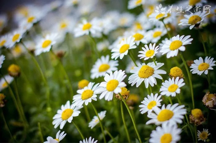 带宝宝拍百天照的注意事项