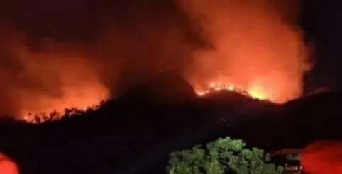 福建漳浦突发山火，当地相关部门采取了哪些急救措施？