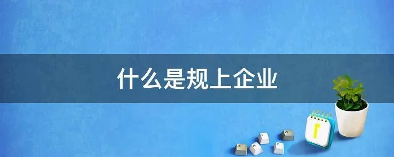 什么是规上企业