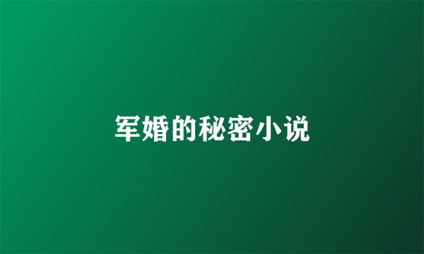 军婚的秘密小说