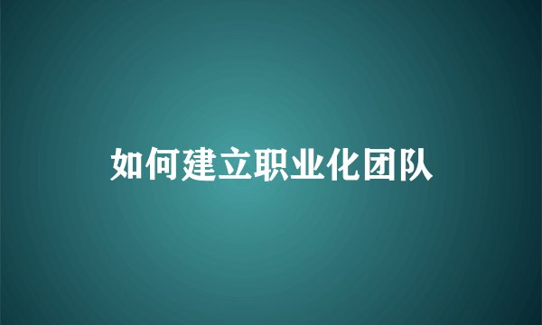 如何建立职业化团队