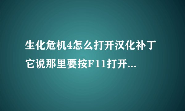 生化危机4怎么打开汉化补丁 它说那里要按F11打开/关闭汉化补丁 但我进了游戏就是按了就不见汉化