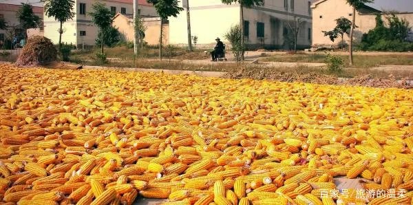 在农村立秋当天，最忌讳什么？