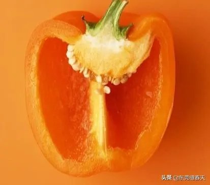 萨菲罗彩椒有什么特点？它的栽培技术要点有哪些？