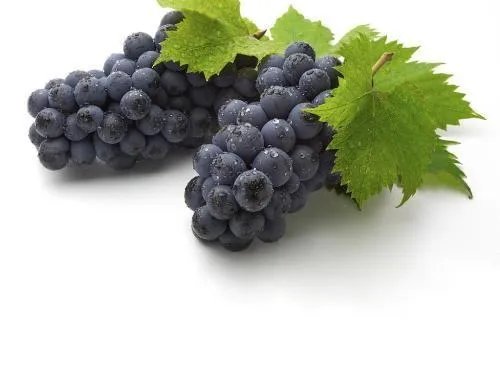 葡萄的作用