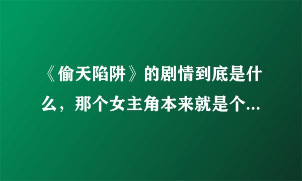 《偷天陷阱》的剧情到底是什么，那个女主角本来就是个盗贼吗？