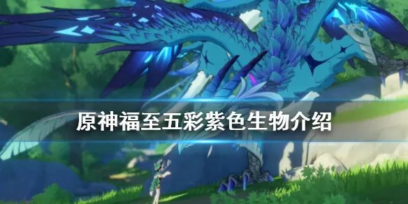 《原神》福至五彩第七天怎么玩 福至五彩紫色生物介绍