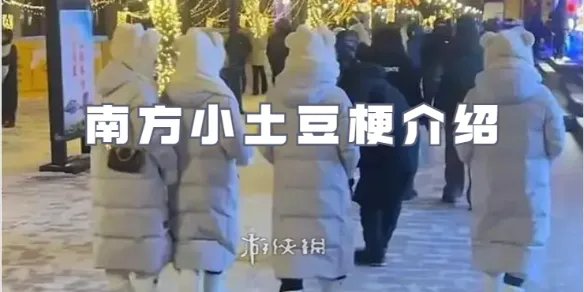 南方小土豆的梗是什么意思