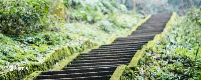 绿阴不减来时路添得黄鹂四五声的意思是什么