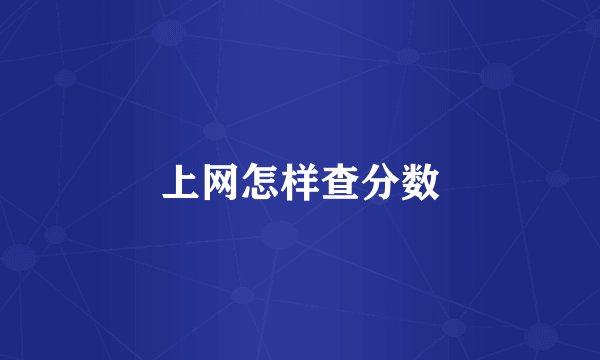 上网怎样查分数