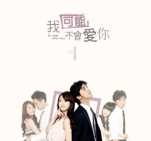 《我想我应该，应该不会爱你》的歌词