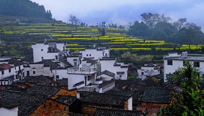 蕲州是哪个省 蕲州是哪个省的城市