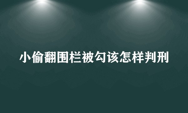 小偷翻围栏被勾该怎样判刑