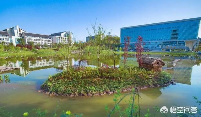 重庆职业学校哪个好？排名有了解的吗？