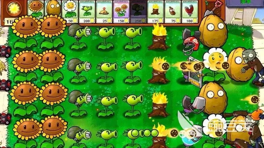 手机版植物大战僵尸下载 植物大战僵尸下载官方2022