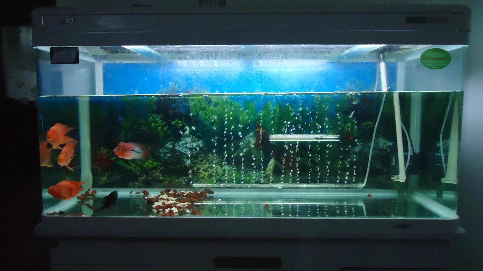 怎样自制鱼缸氧气