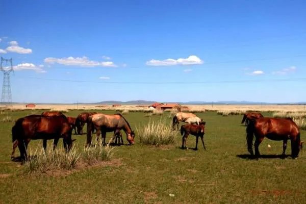 兴安盟政府简称