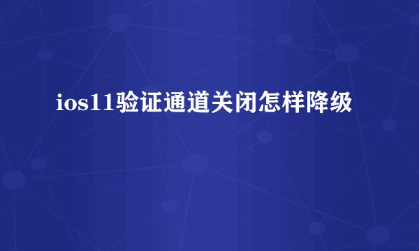 ios11验证通道关闭怎样降级