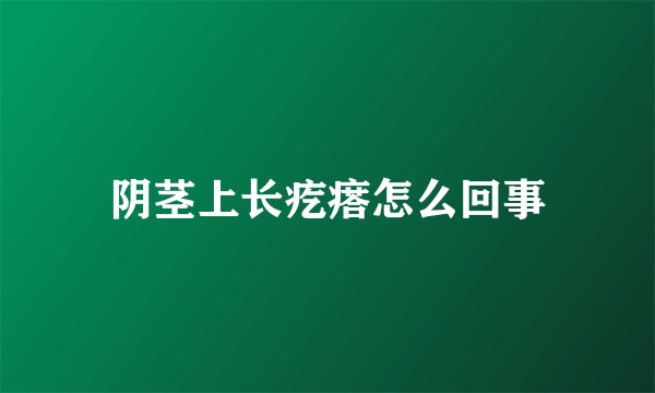 阴茎上长疙瘩怎么回事